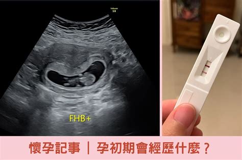 求好孕|如何懷孕更容易？教妳掌握4個備孕關鍵！